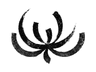 Crisantemo