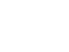 Crisantemo